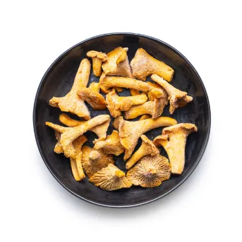 Frozen Mushrum (36)-1331932-74205.webp